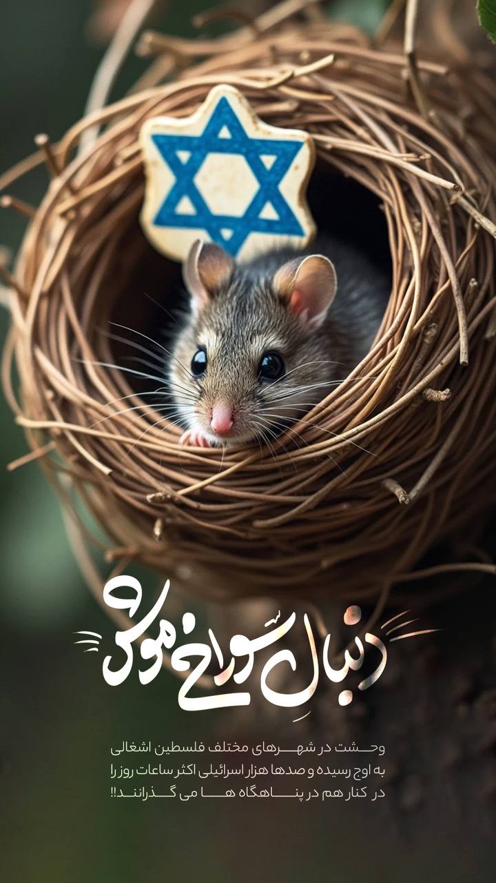 پوستر اسرائیلی ها دنبال سوراخ موش